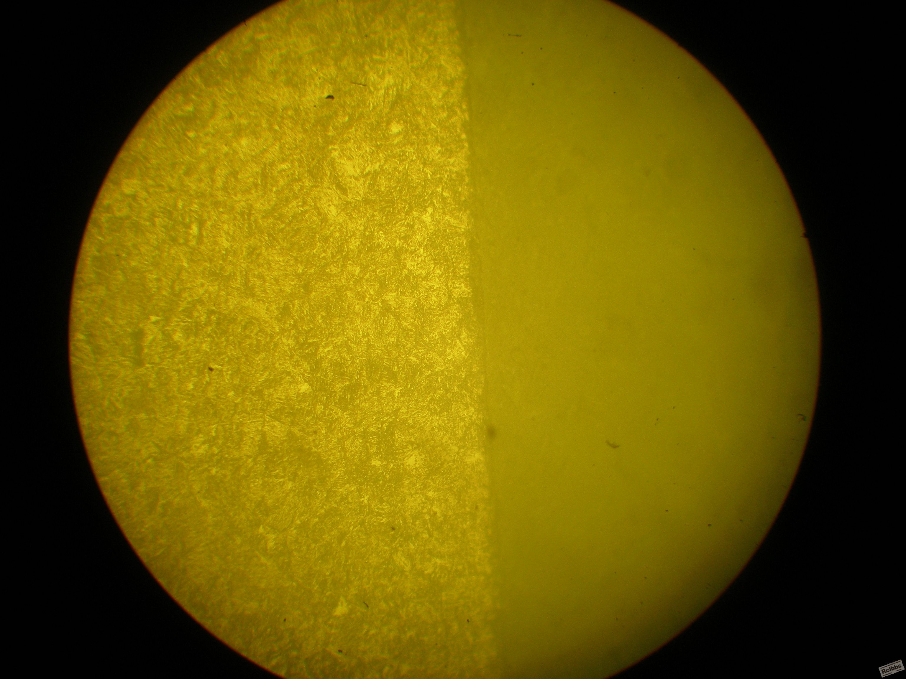 P1010002.JPG