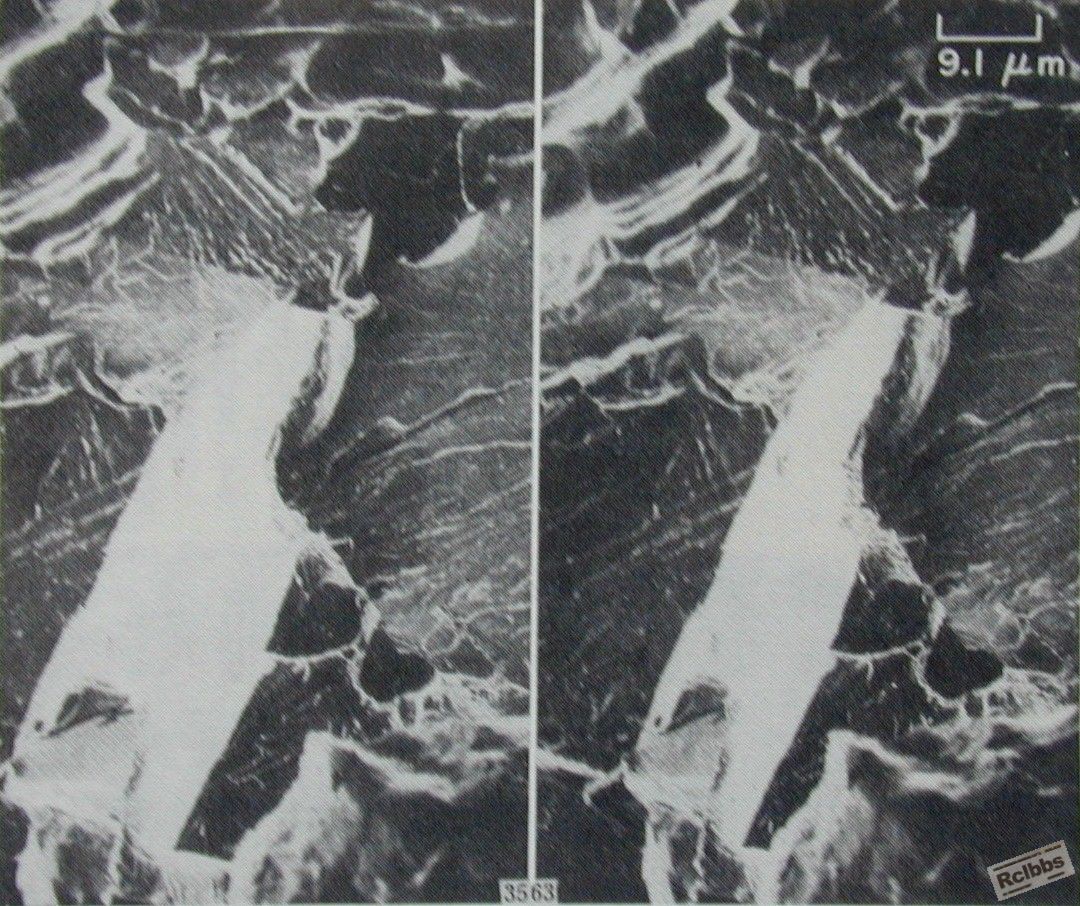 1.JPG