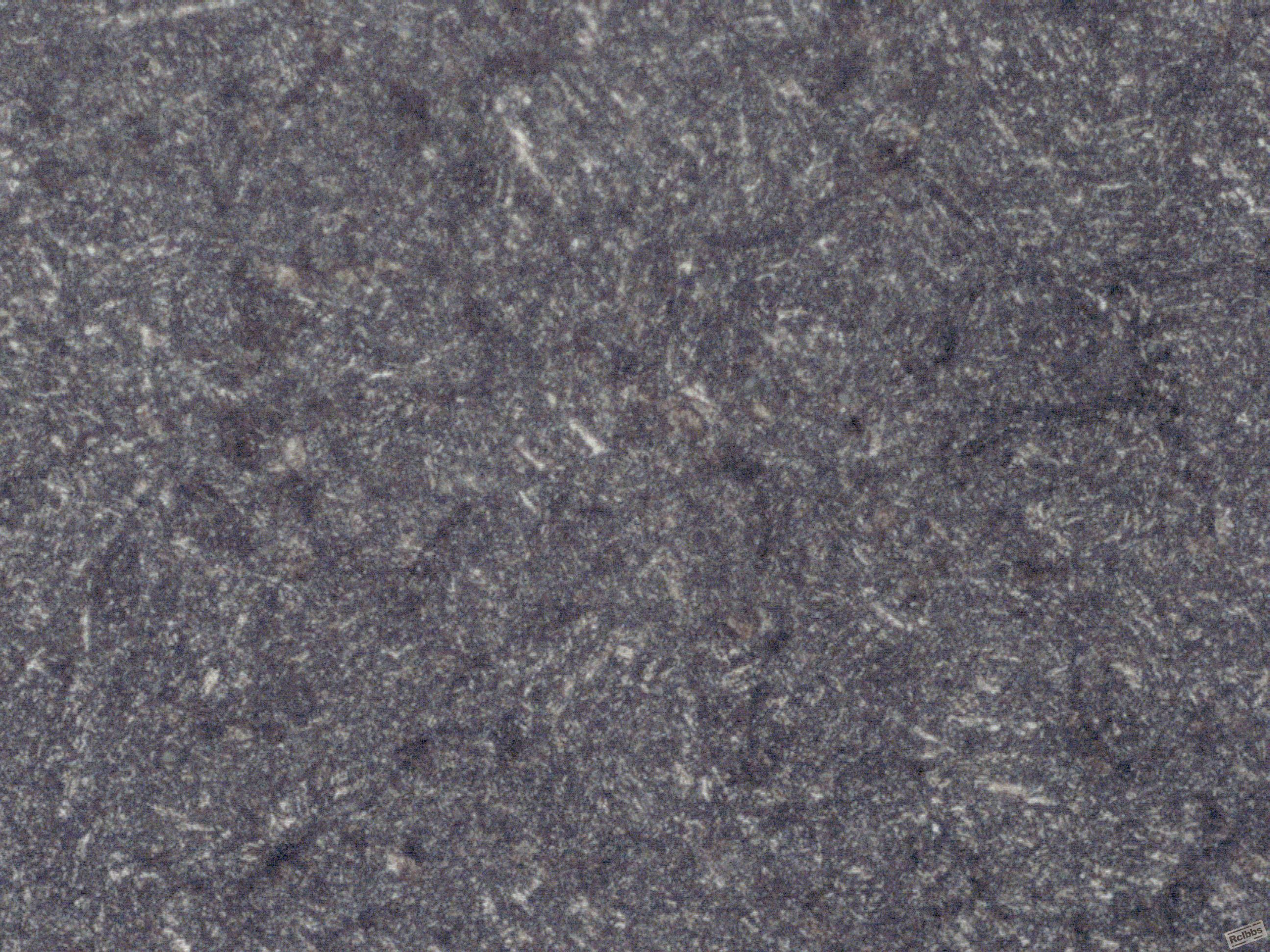 image73.JPG