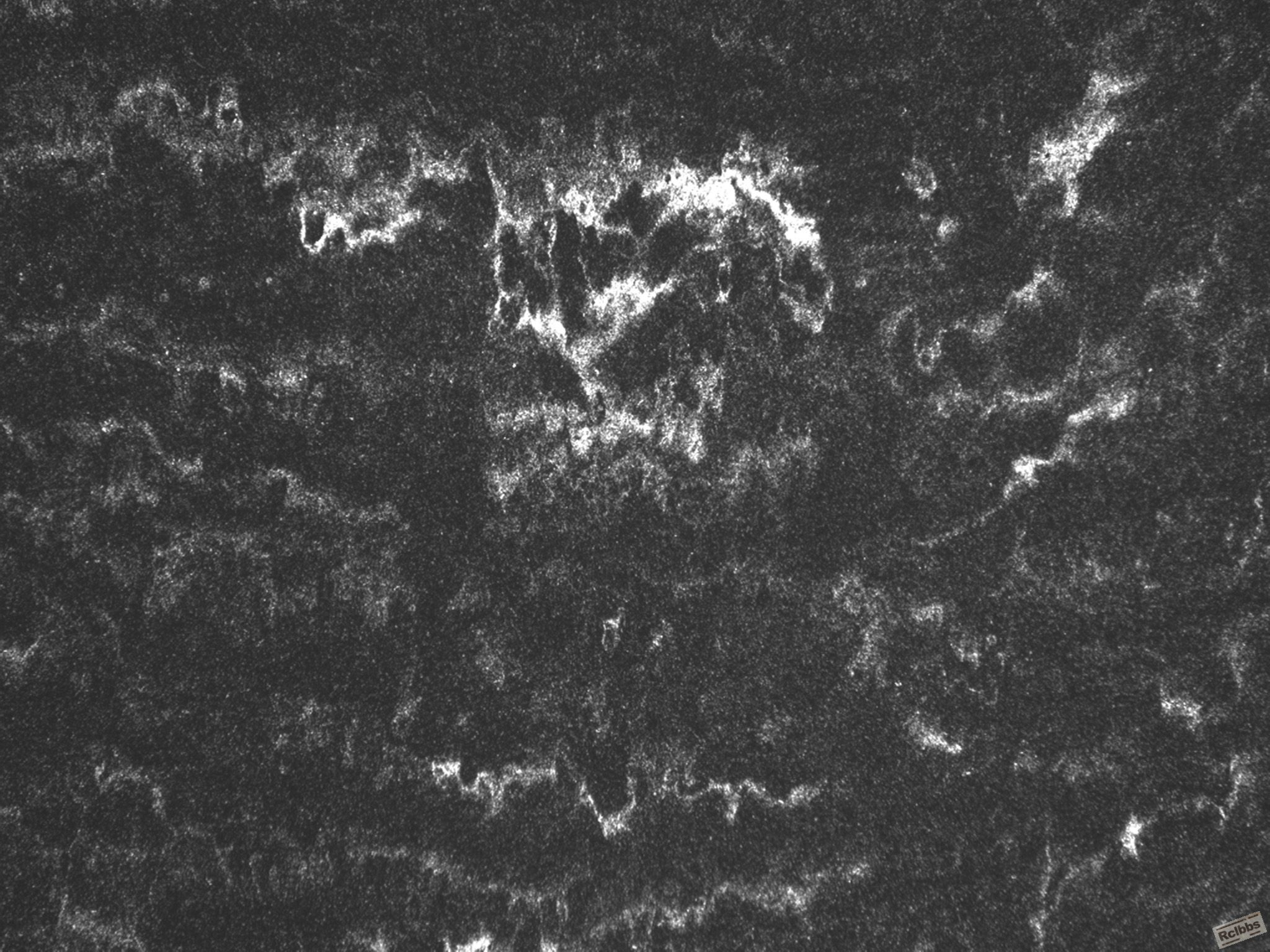 005-200×.jpg