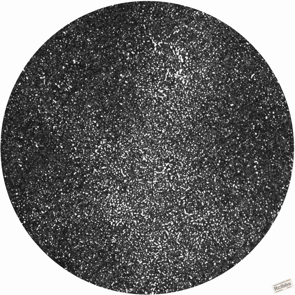 C66-碳化物网状.jpg