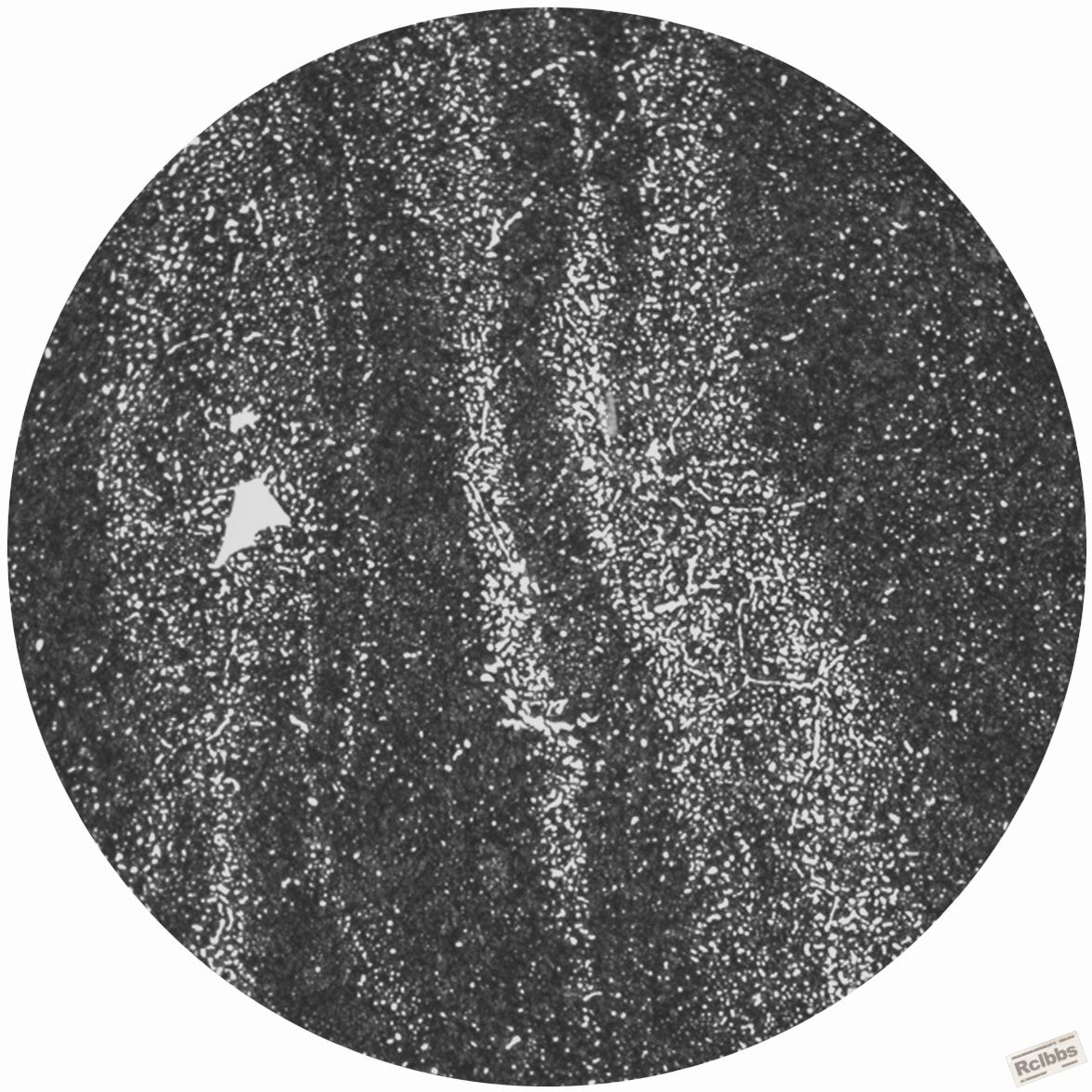 3#-复检网状-淬回火-2.jpg
