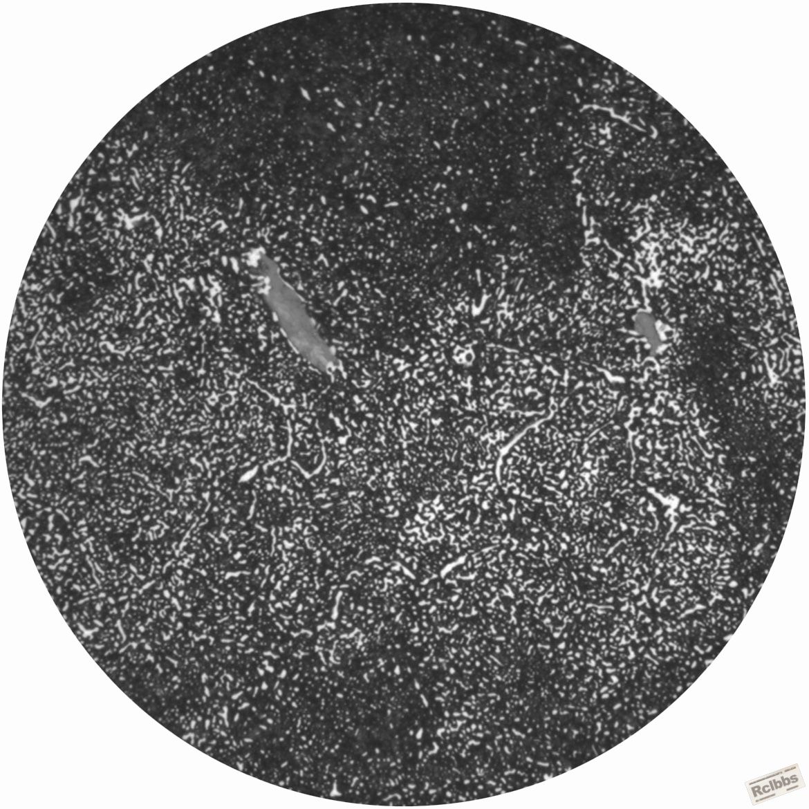 X98-CF7209A-网状.jpg