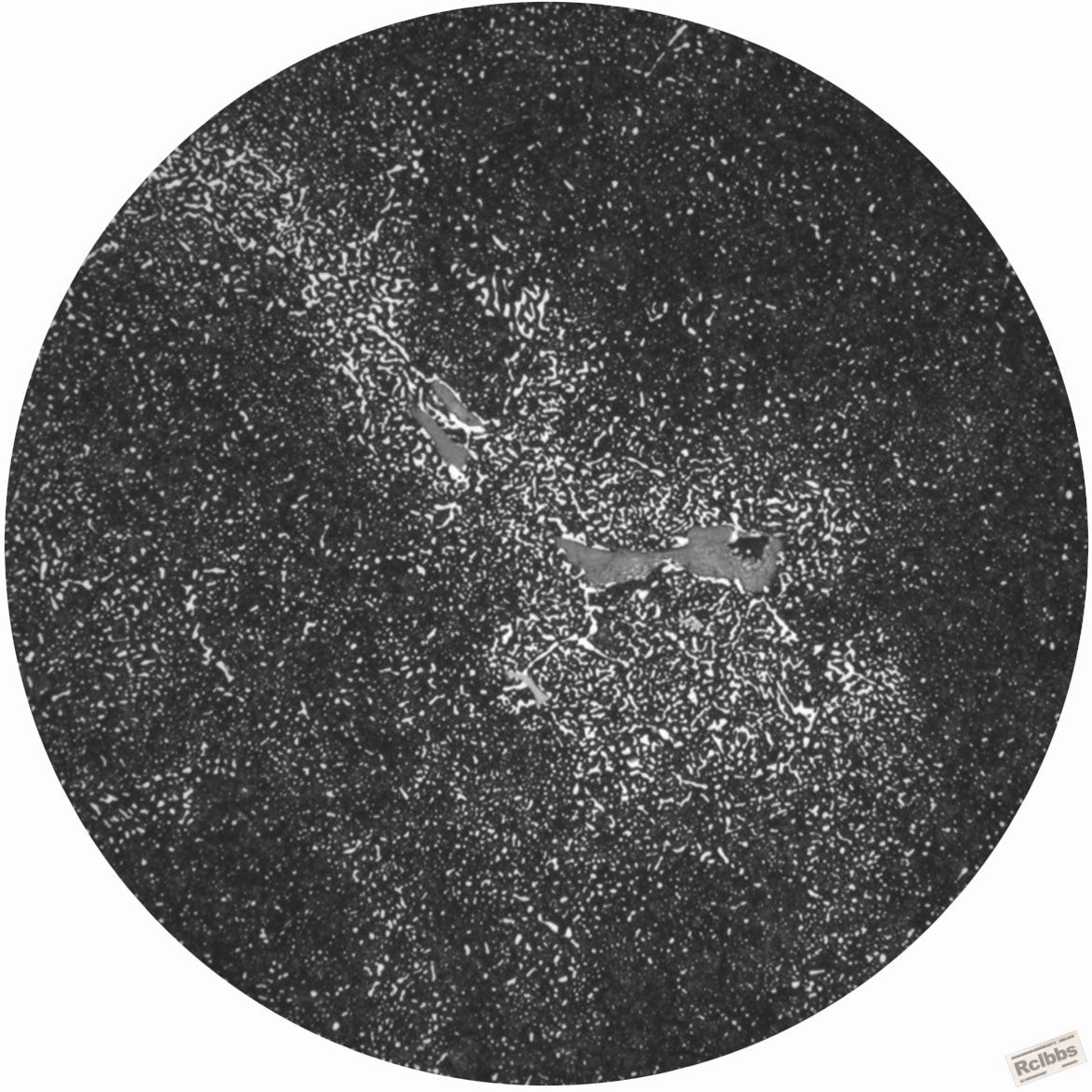 X98-CF7209A-网状-1.jpg