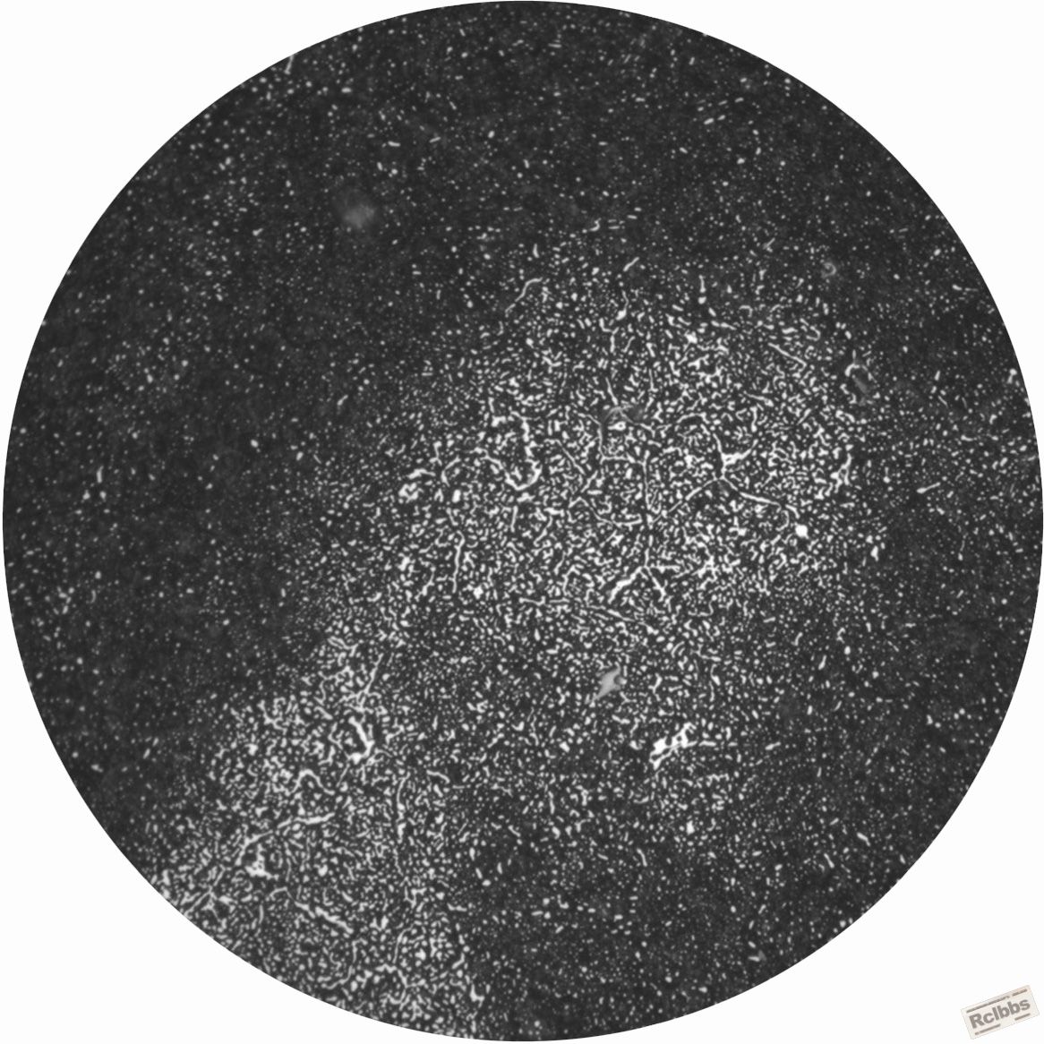 X98-CF7209A-网状-2.jpg
