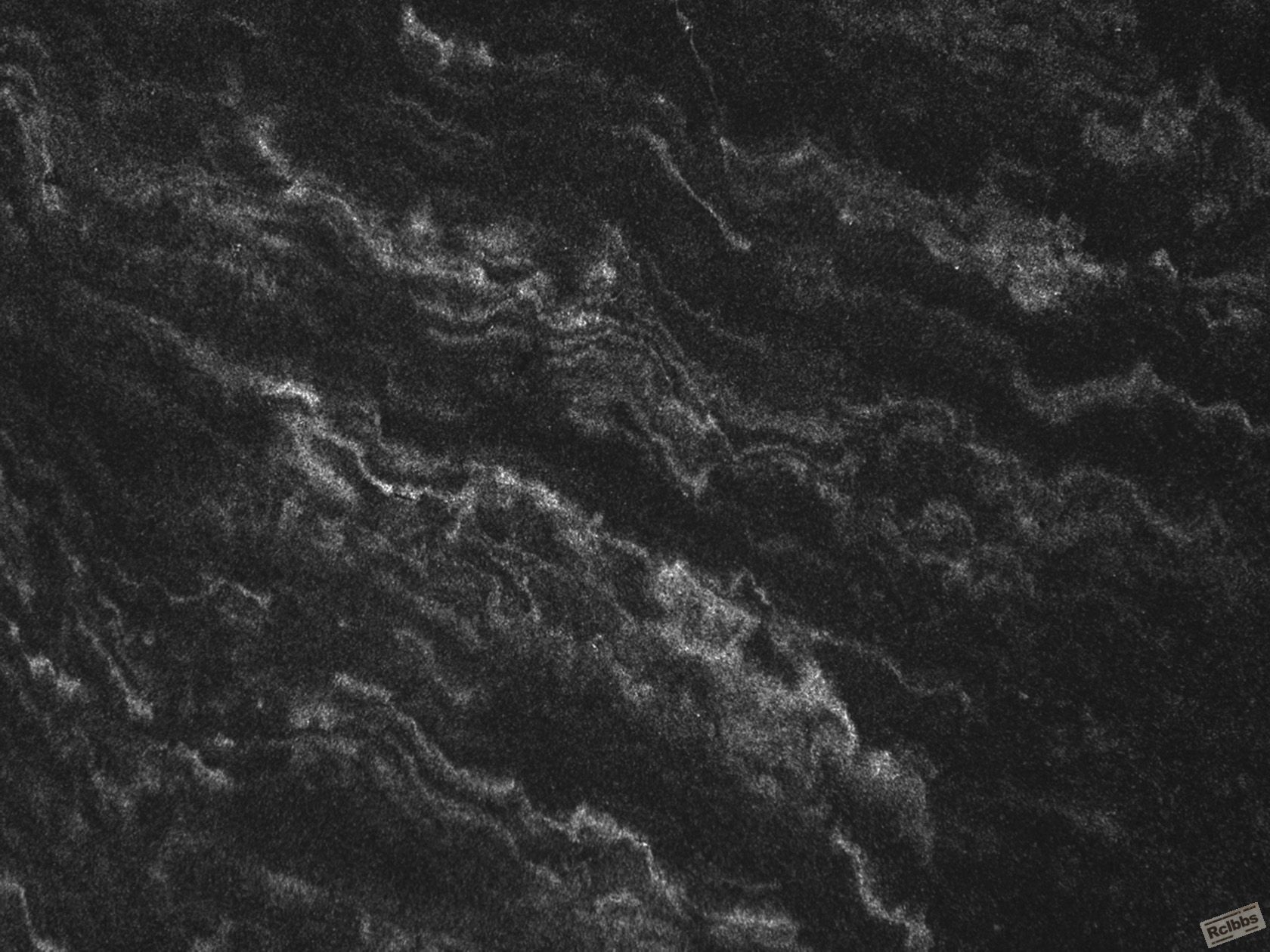 004-100×.jpg