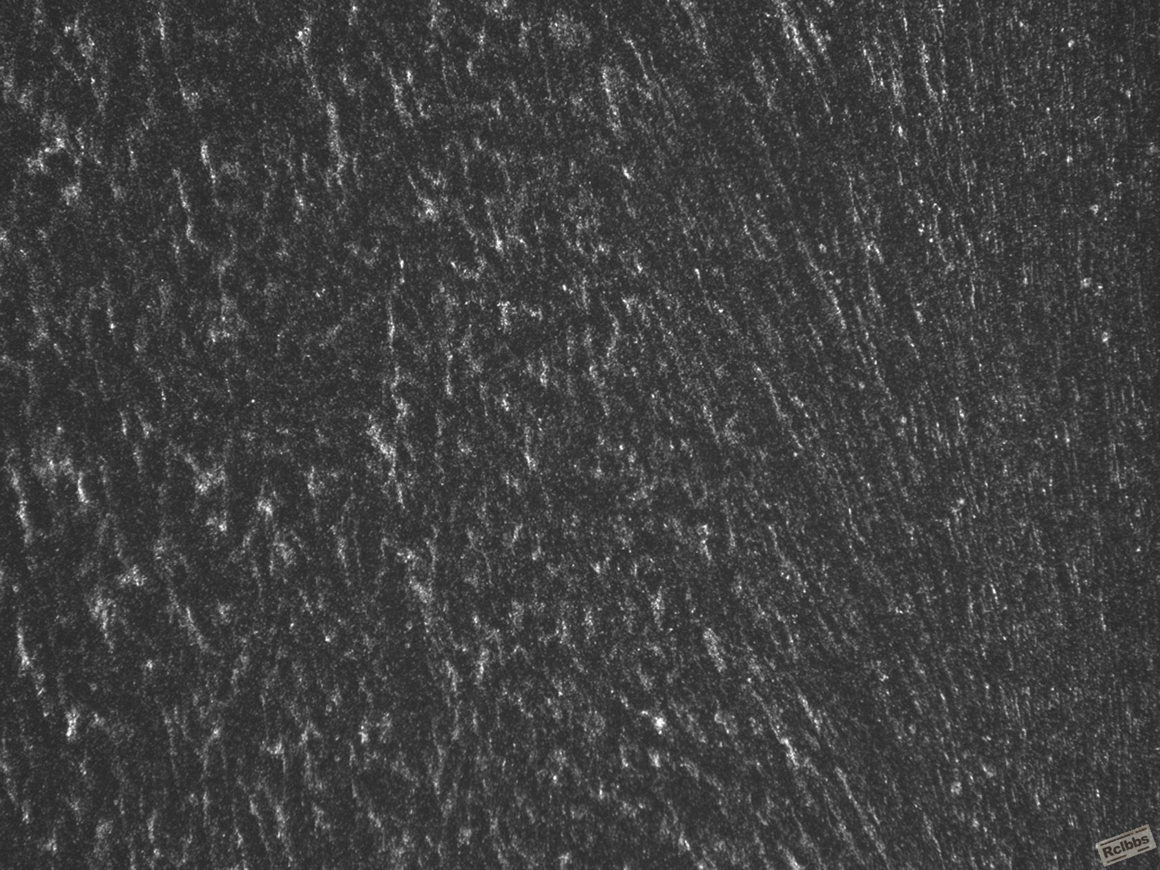 001-50×.jpg