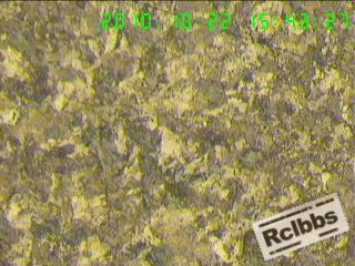 101103192526c3858173bb38a1.jpg