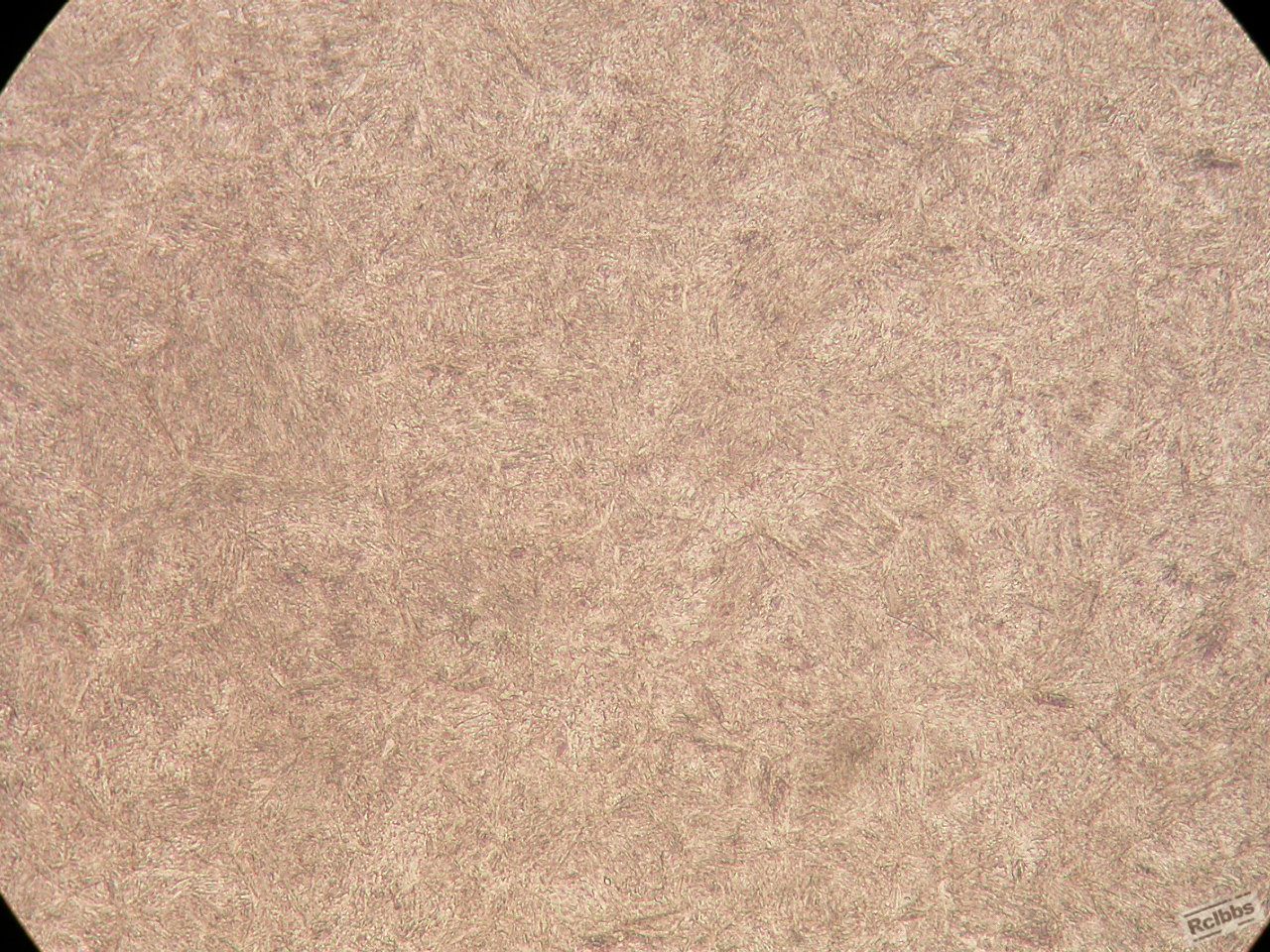 500X