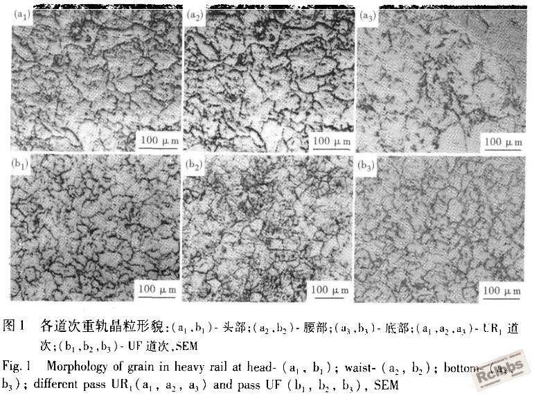 重轨珠光体晶粒度.JPG