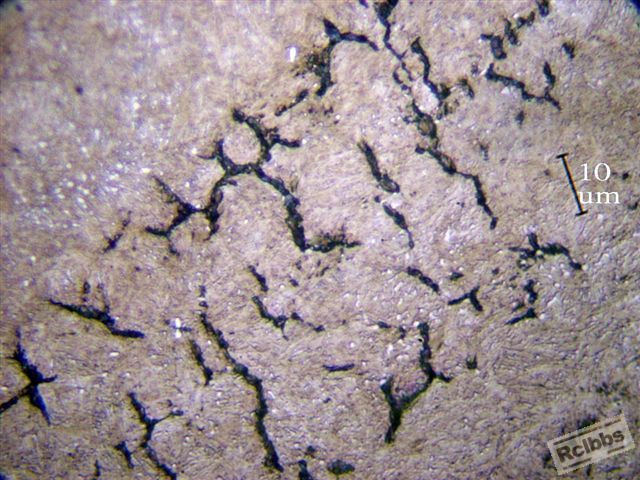 B5.jpg