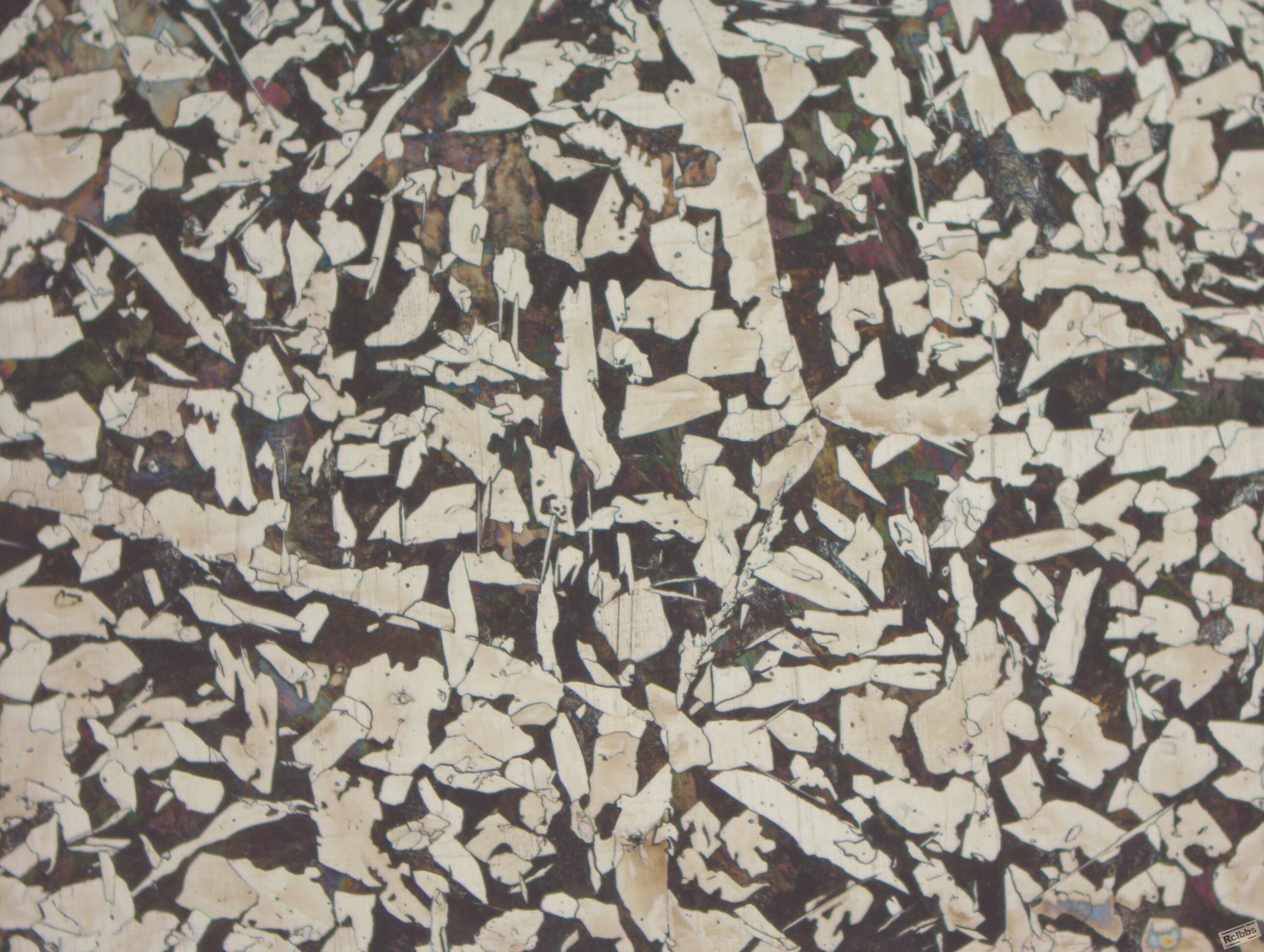 A0219-100X.jpg