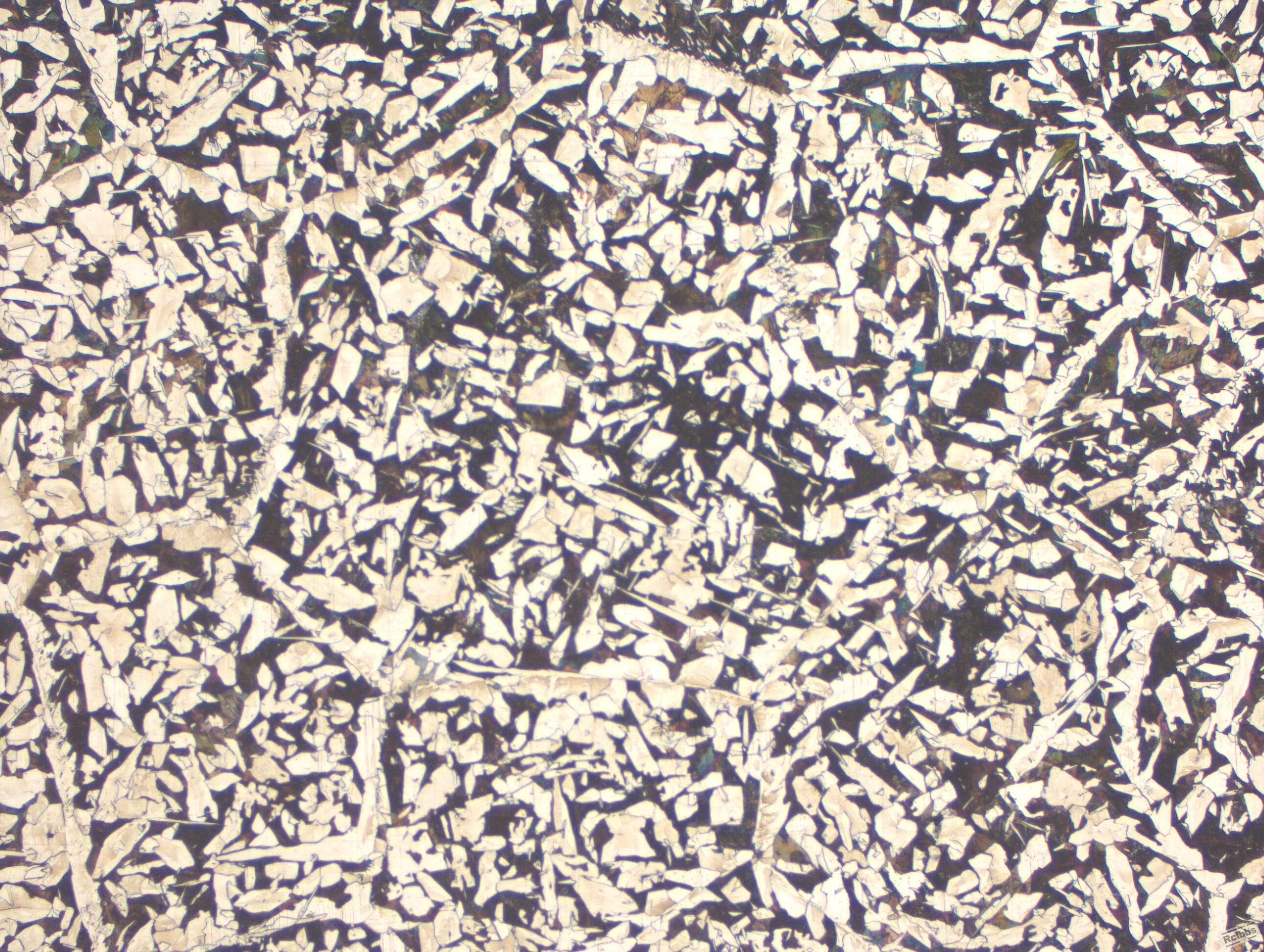 A0219-50X.jpg