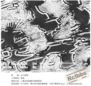 10101504302ed4b48a9b89b801_jpg_thumb.jpg