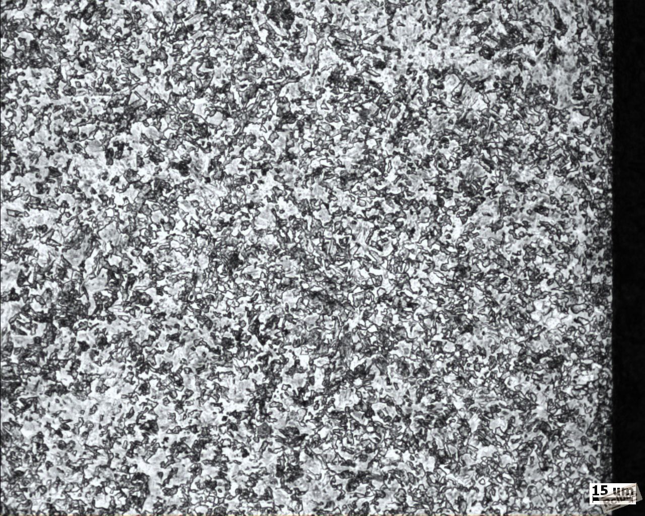 齿顶部中频区 500X.jpg