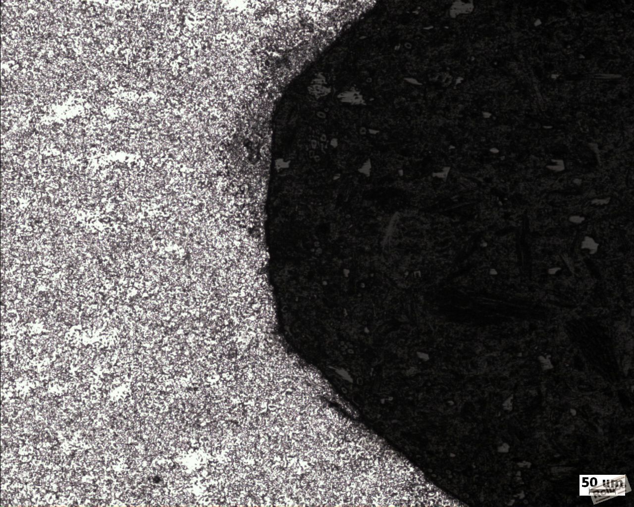 齿根部裂纹 100X.jpg