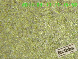 11031719044ff7cf0d003be18c.jpg