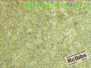 1103171904a861fa960128339e.jpg