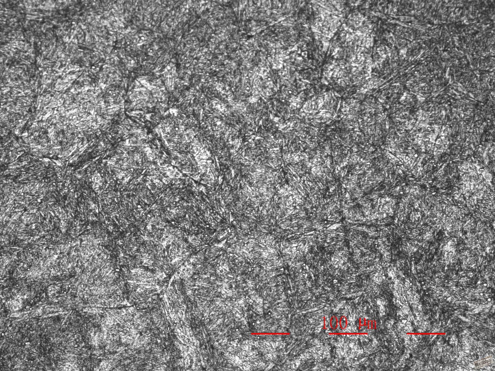 小样热（500X）_ovl010319_001.JPG