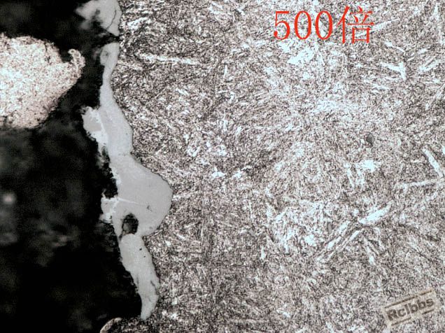 500.2 拷贝.jpg