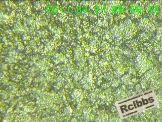 11032409237db80acdbdd7d874.jpg