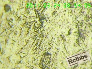 1103241154a87e3c4f841ea45d.jpg