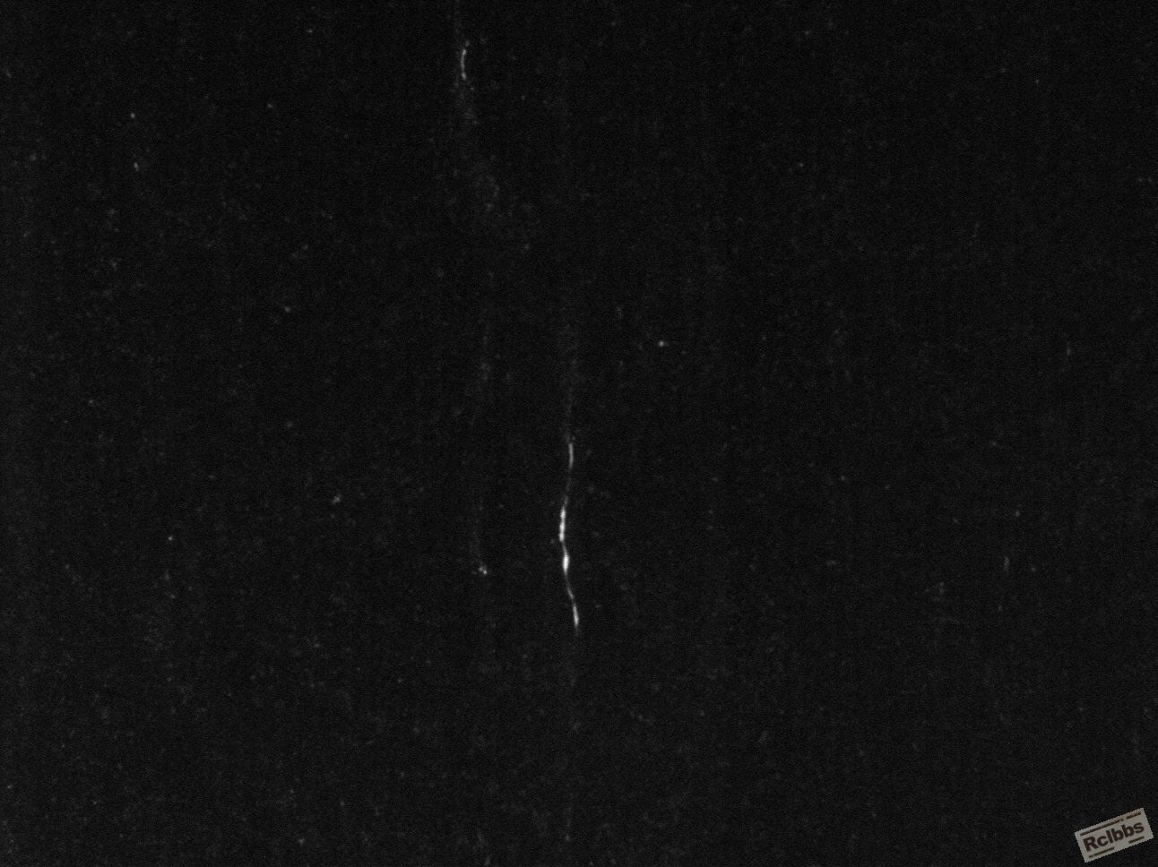 49-1液析.jpg