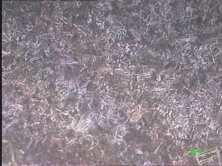 调质组织500X