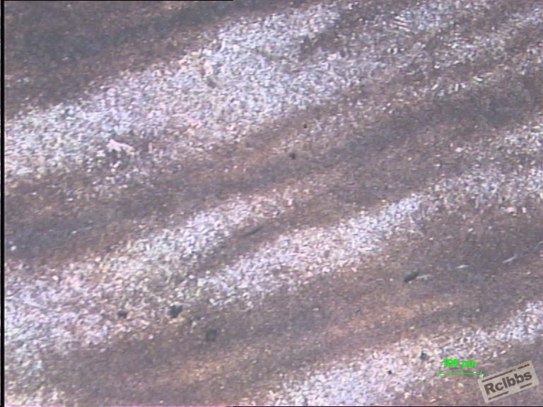 调质组织100X