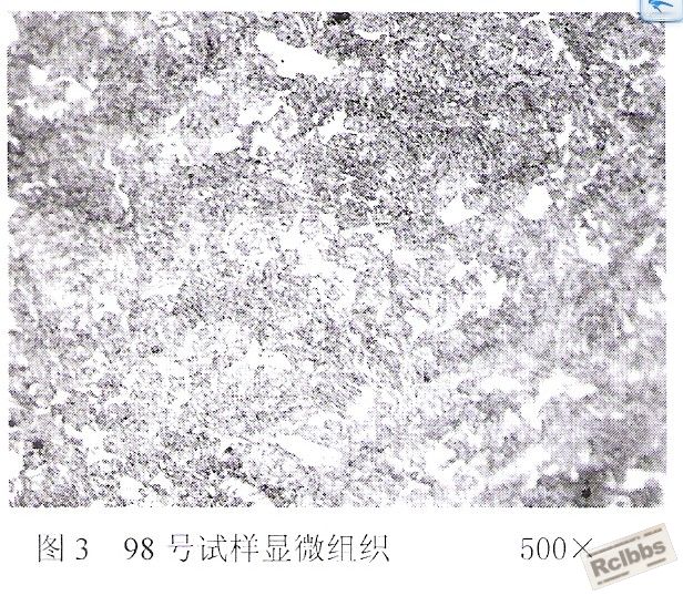 试样检测结果