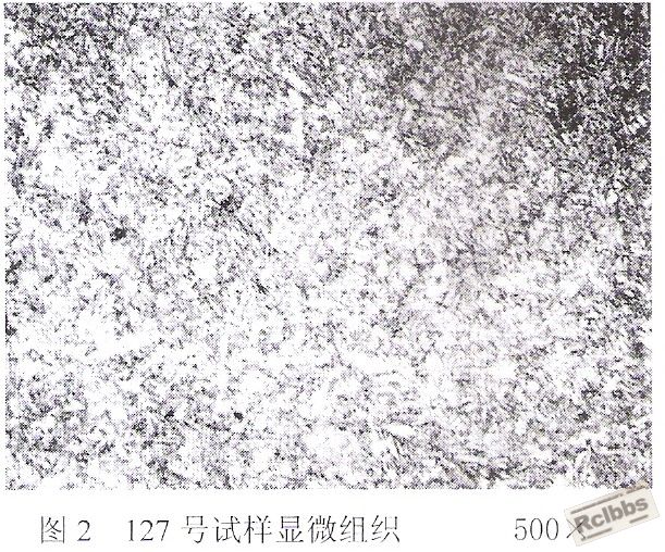试样检测结果