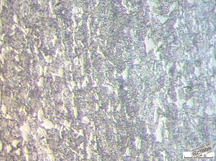 200X原材料-1.jpg