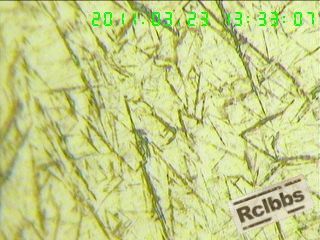 1103231440b1b7d175628995e7.jpg