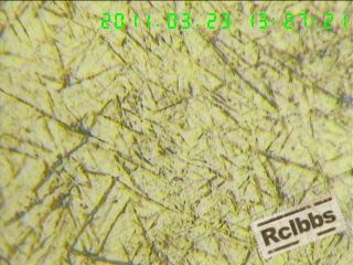 1103231440f41ef8be9ecfba36.jpg