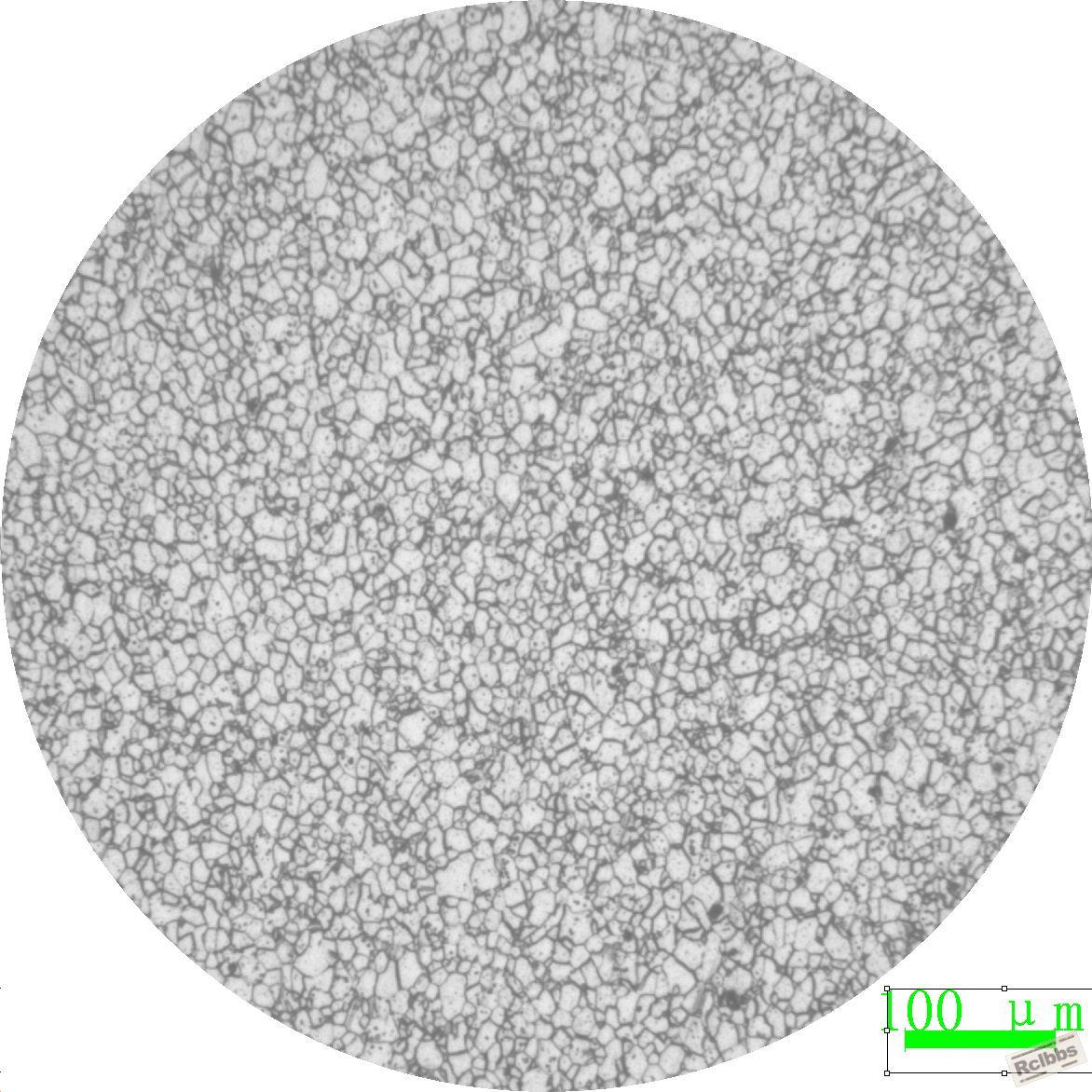 1.2...100mm.JPG