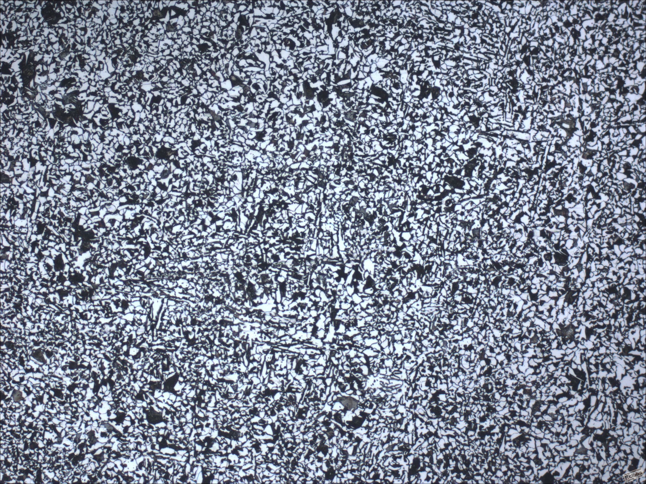 02-2012-100x.JPG