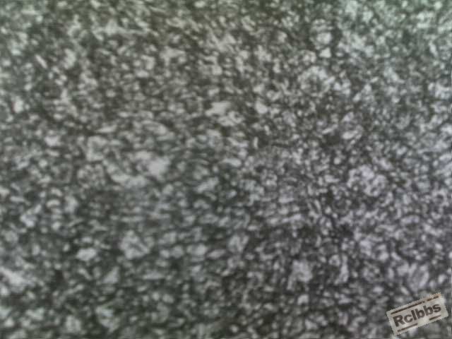20110411119.jpg