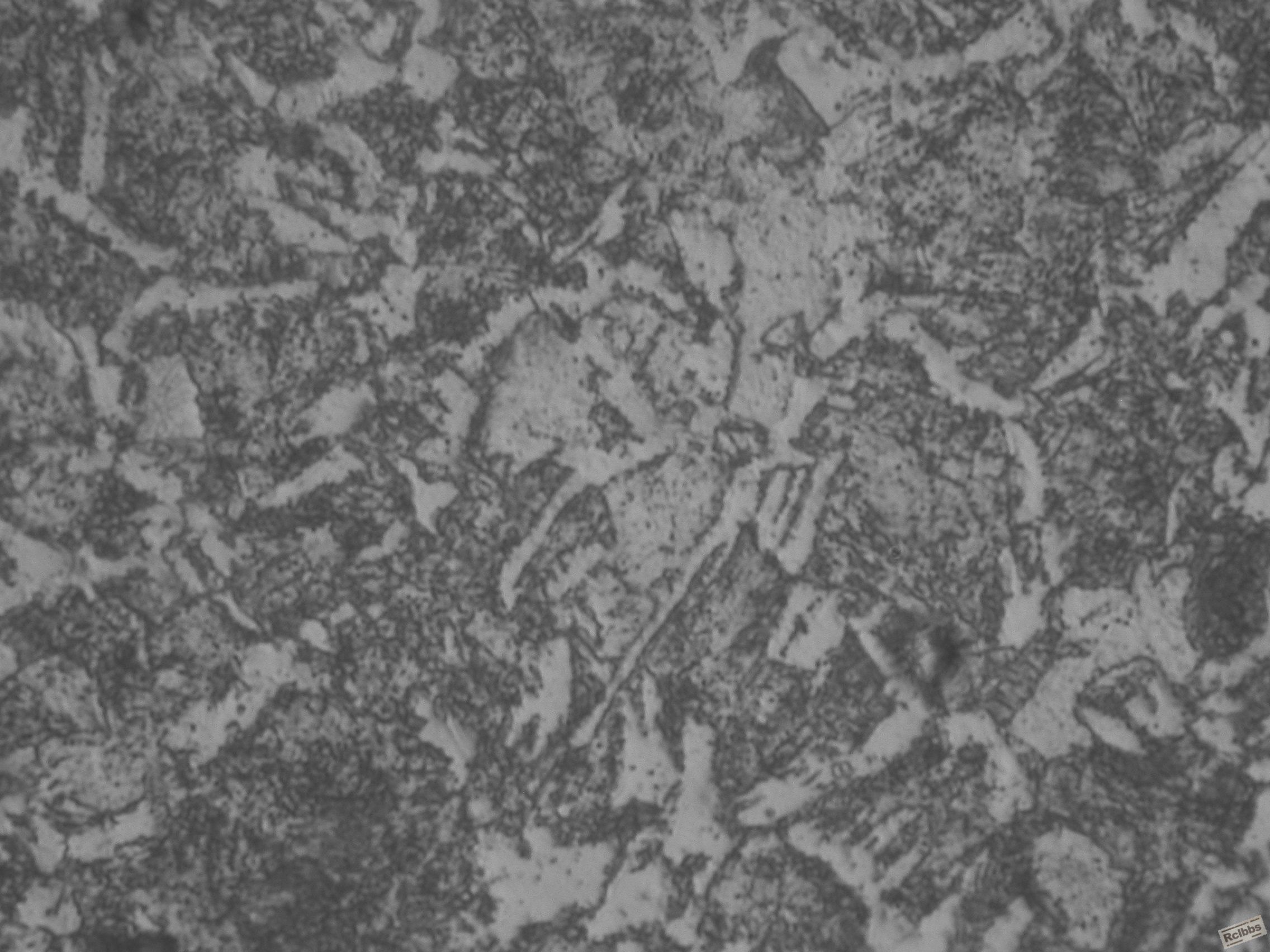 DSCN0791.JPG