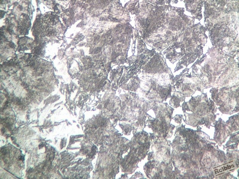 1-2内4 400倍.jpg