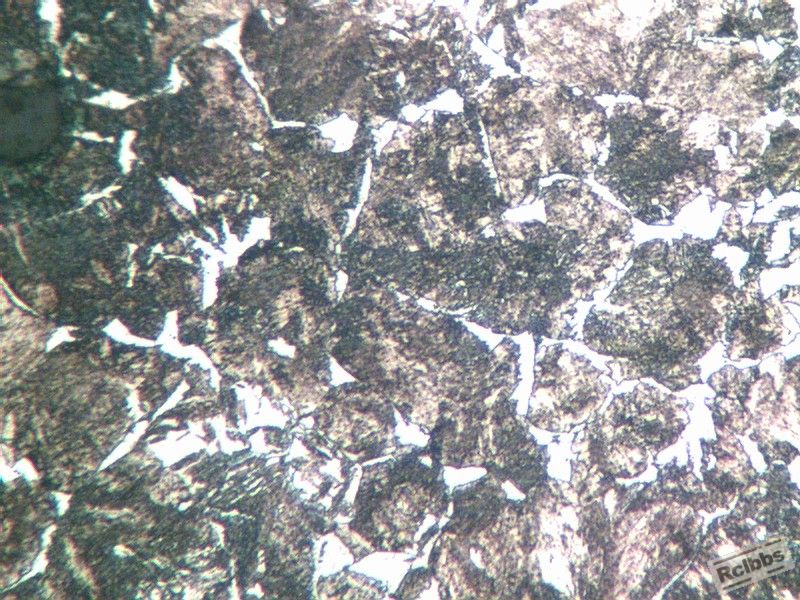 3-2内4 400倍.jpg
