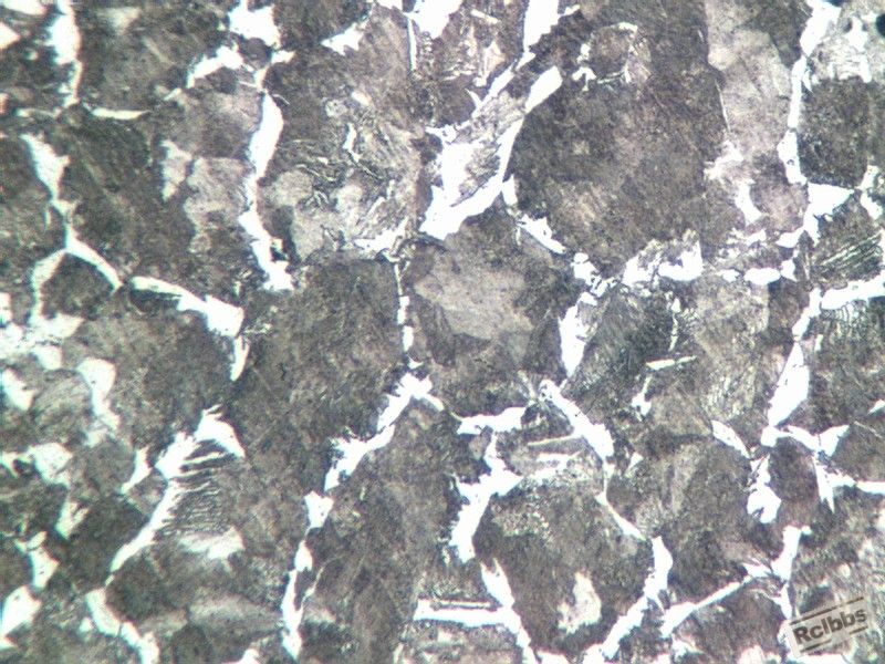 2-3内6 400倍.jpg