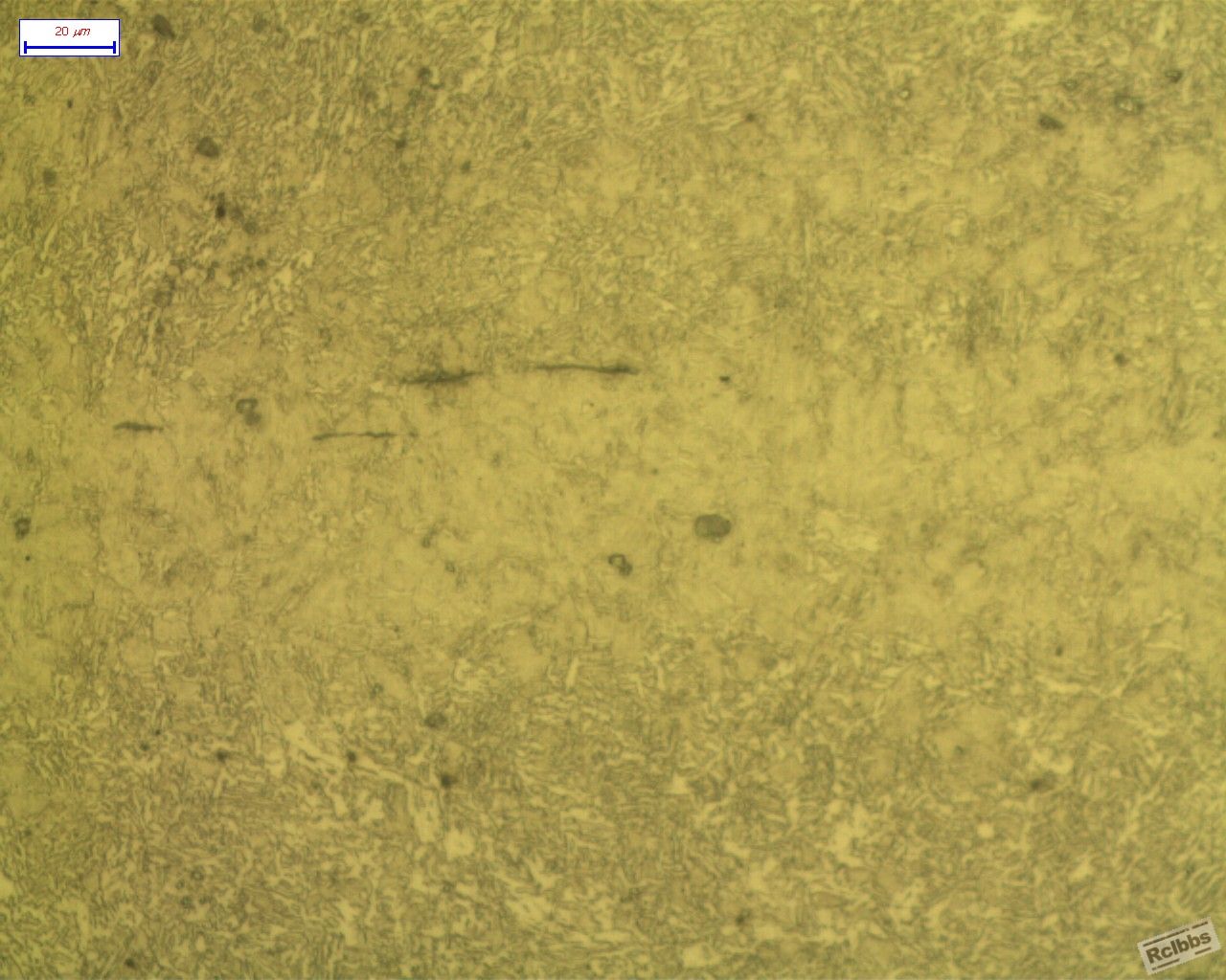 500X_1.jpg