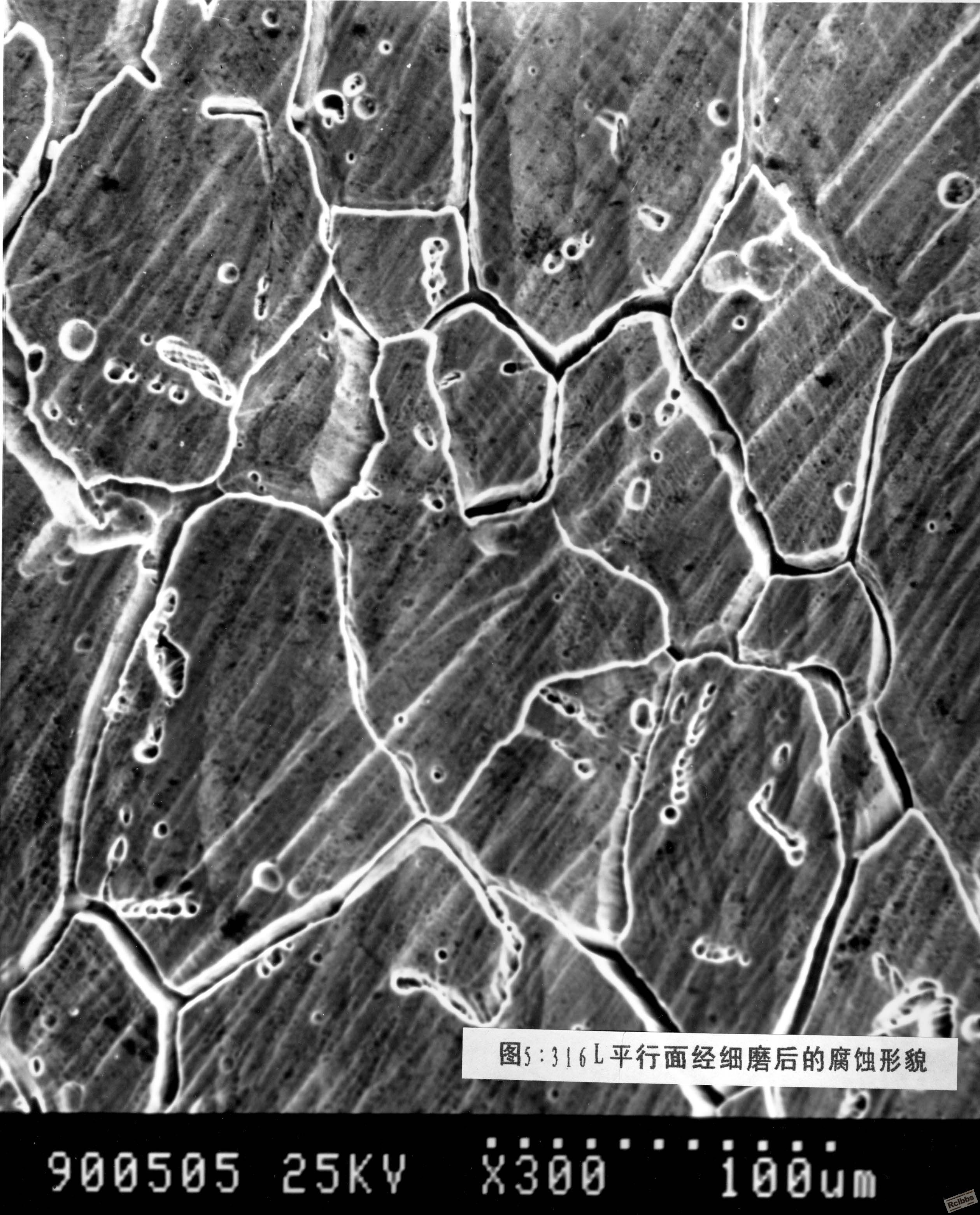 900505.jpg