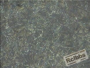 40Cr 淬火2.JPG