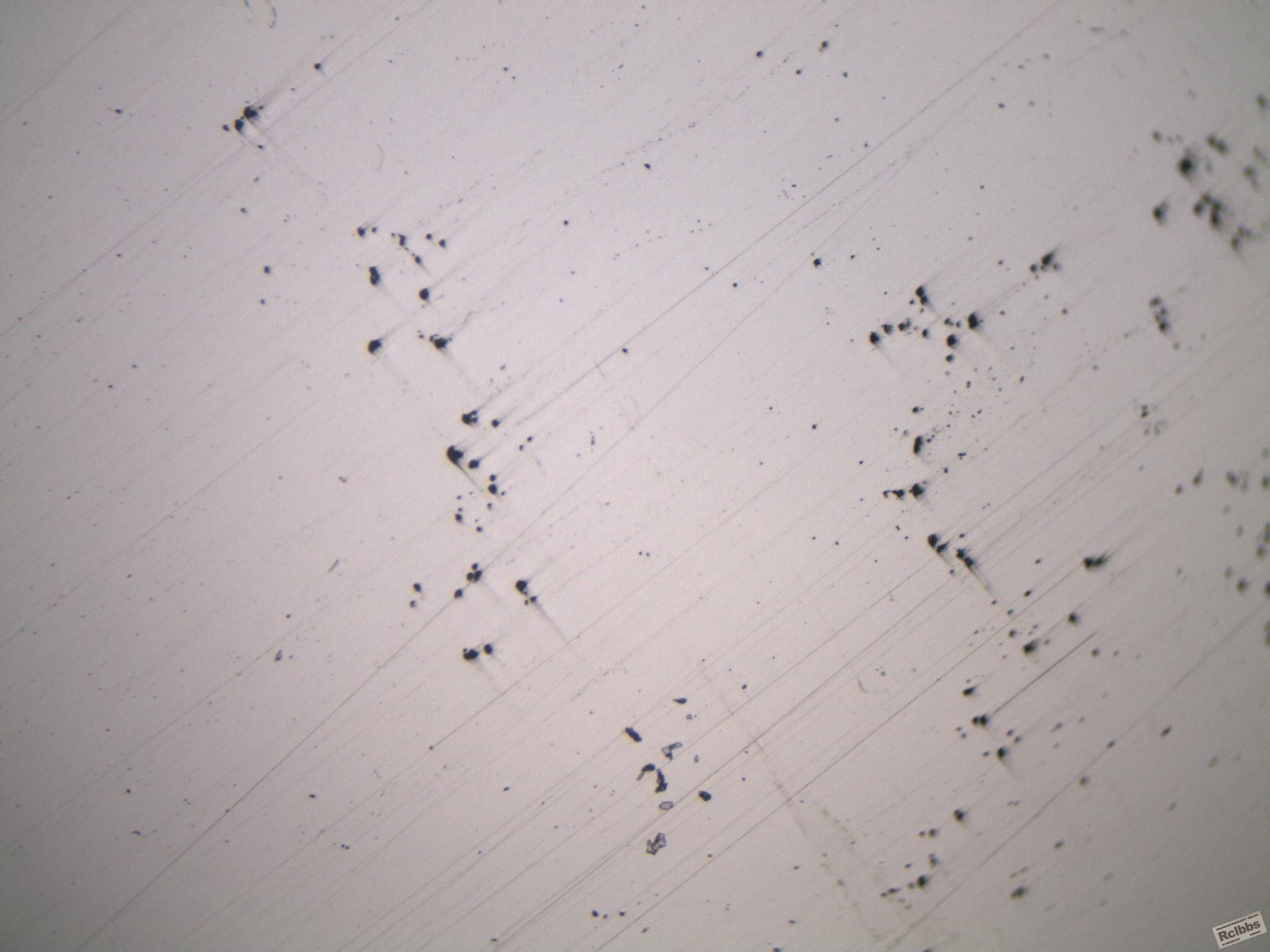 400.jpg