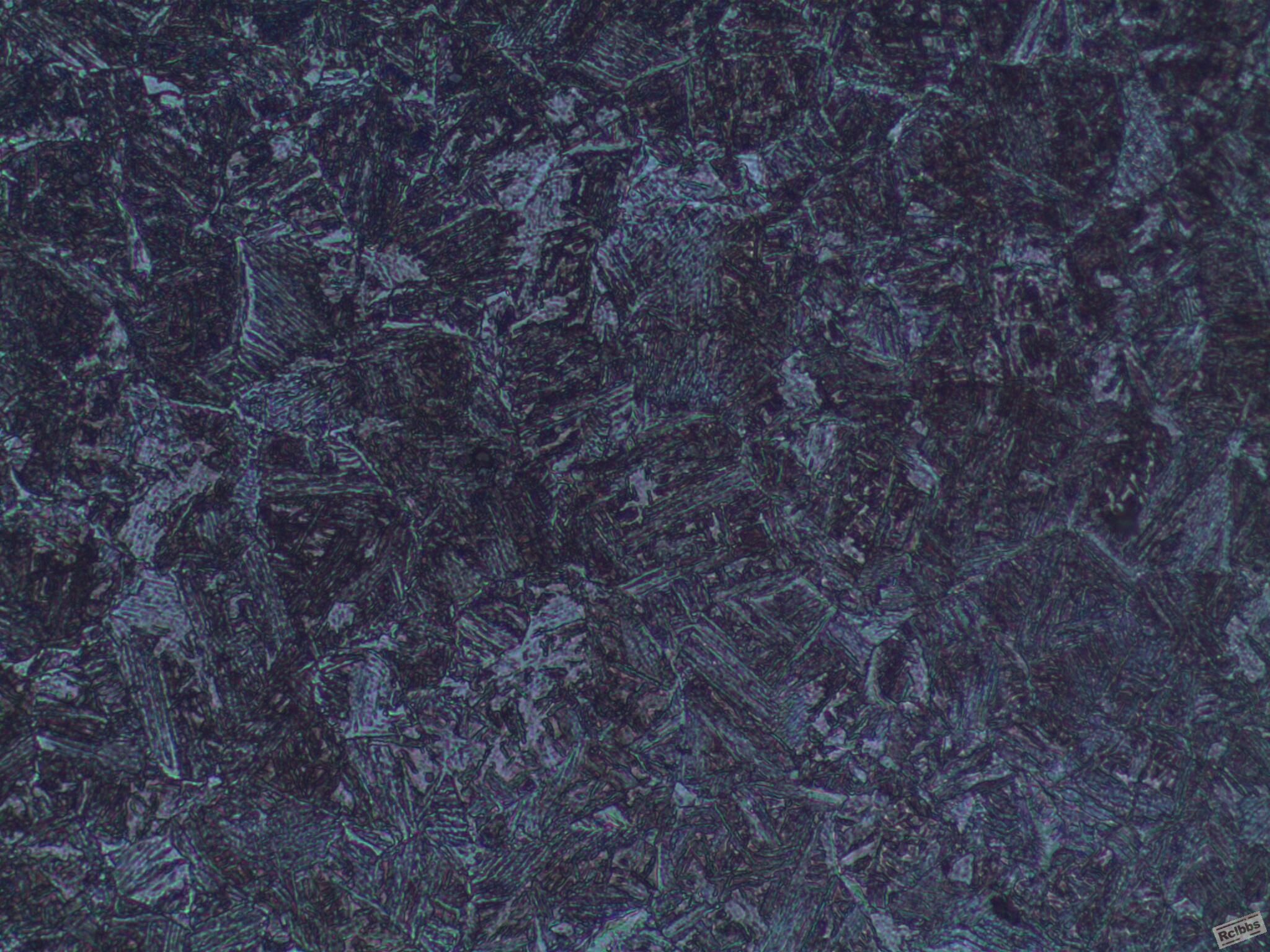 行量110424_008.JPG