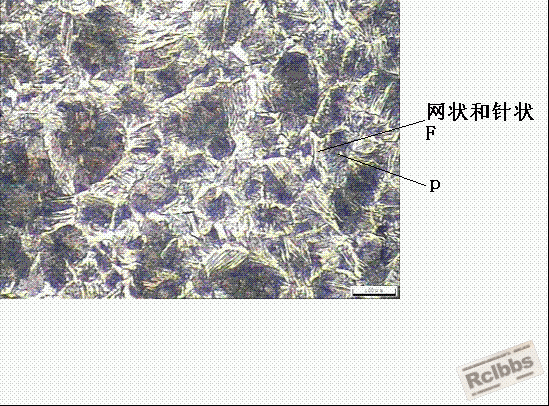 图片1.gif