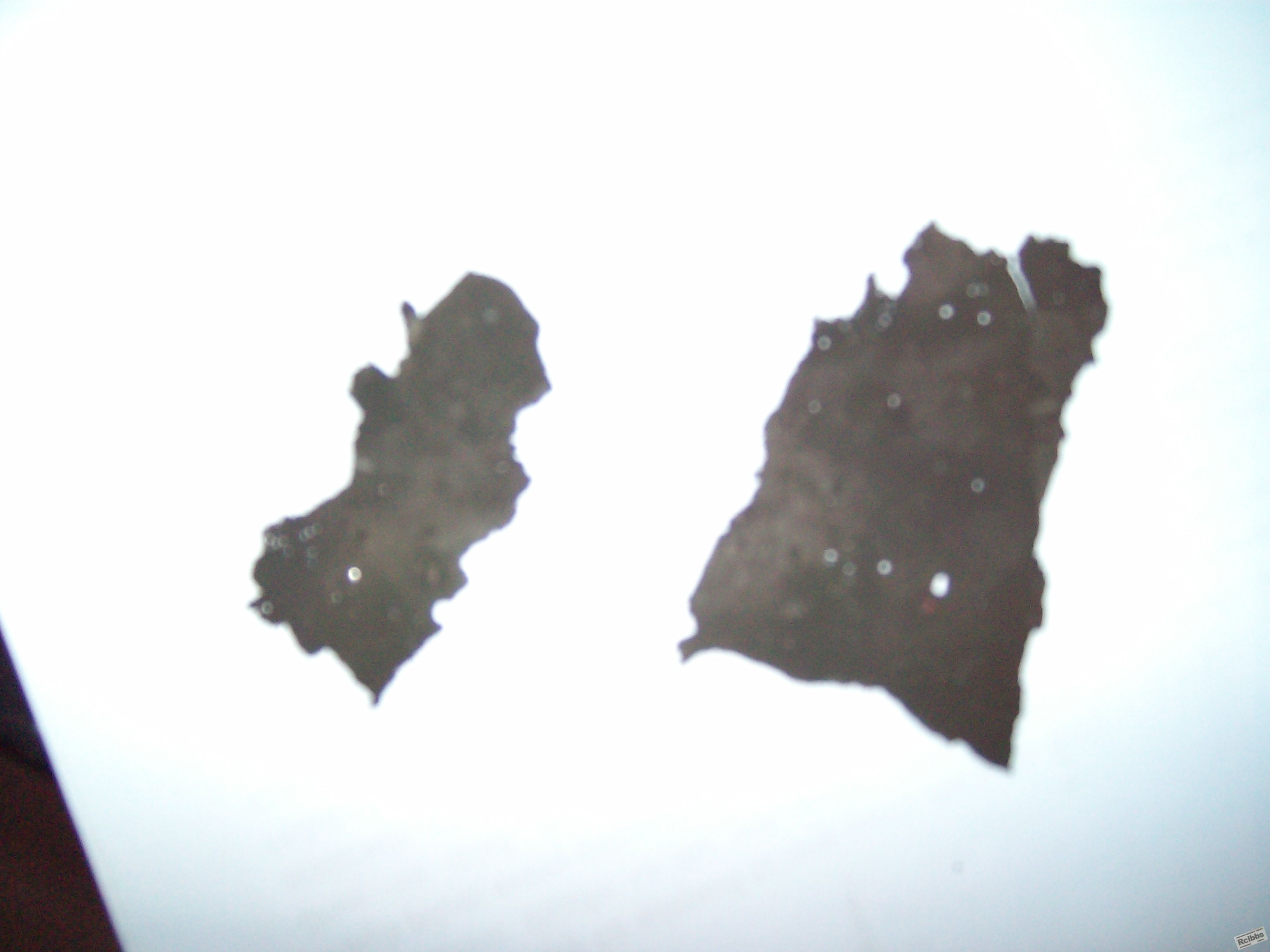 ALIM0004.JPG