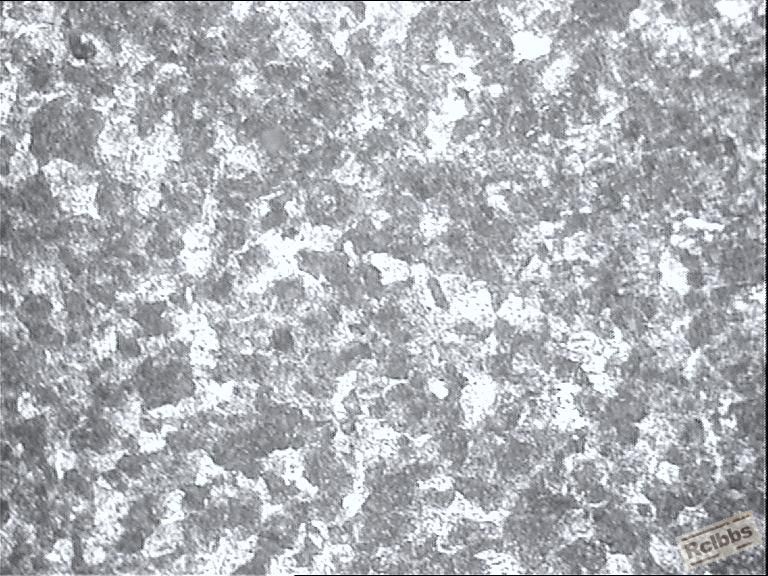 image001.JPG
