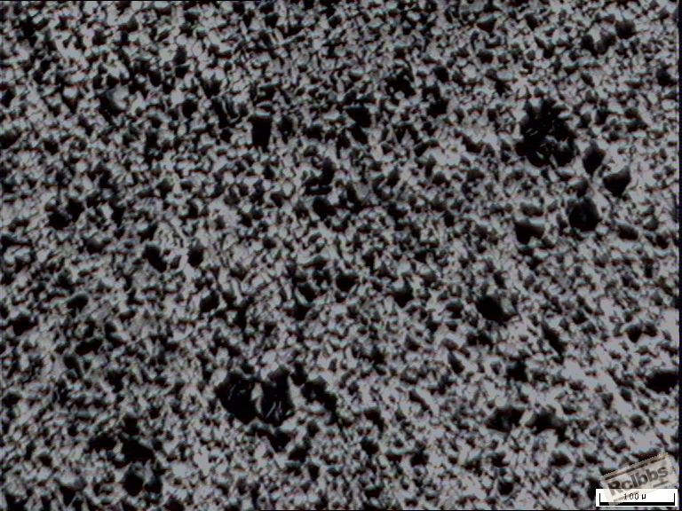 AX100-1110004  2011-04-28 袁宗波 HB179.JPG